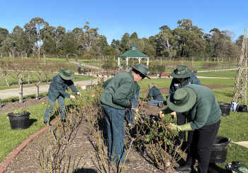 Pruning is Finished!
